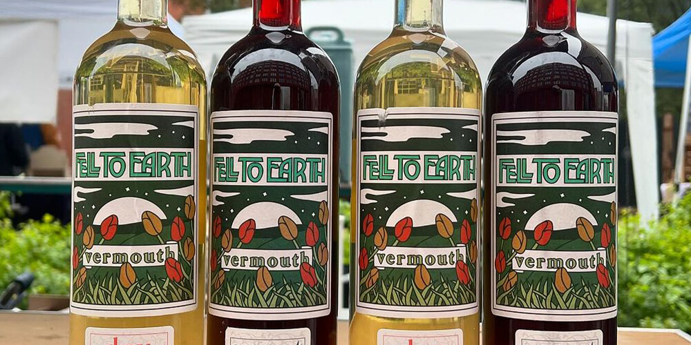 Fell to Earth Vermouth